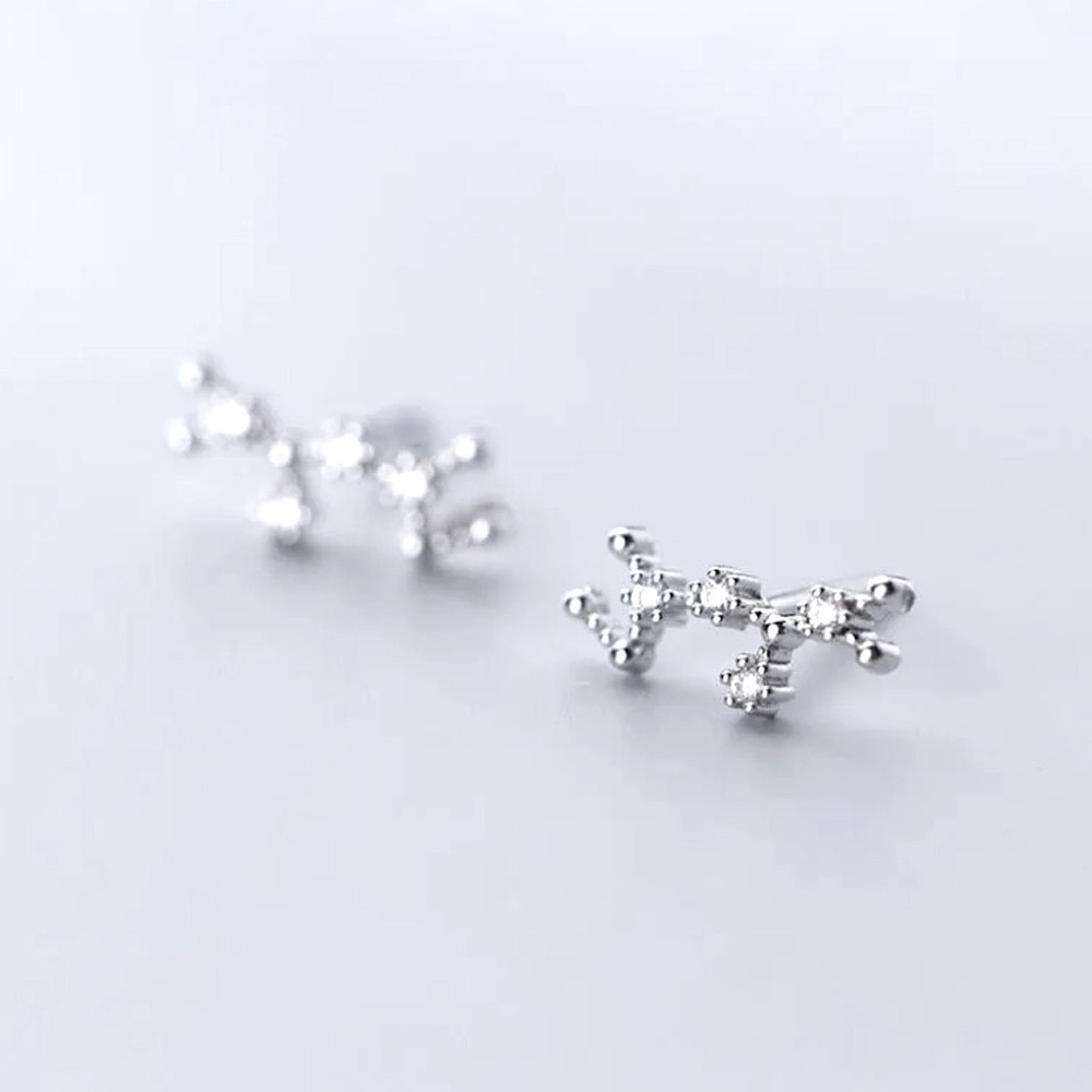 Sagittarius Constellation Star Galaxy Space Astrology Zodiac Sign Silver Earring - Picture 1 of 9
